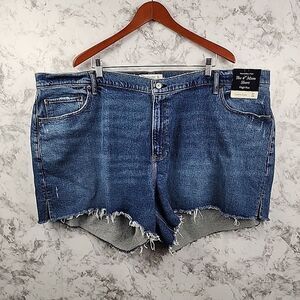 Abercrombie‎ & Fitch Curve Love 4" Mom Short High Rise Denim Shorts Size 37 / 24
